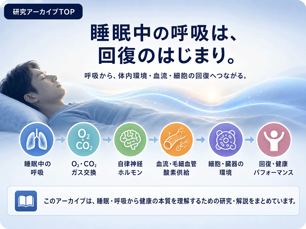 睡眠中の呼吸から体内環境・血流・回復までのつながり