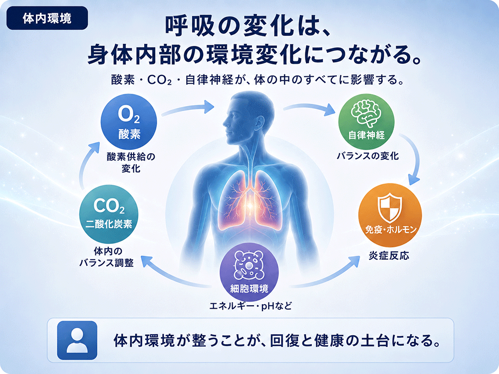 呼吸の変化が酸素・CO₂・自律神経・免疫・細胞環境につながる概要図