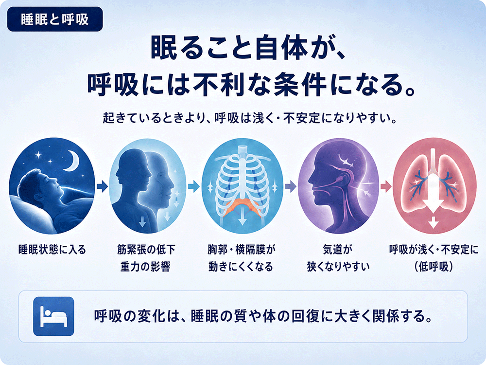 睡眠中は呼吸に不利な条件が重なることを示す概要図