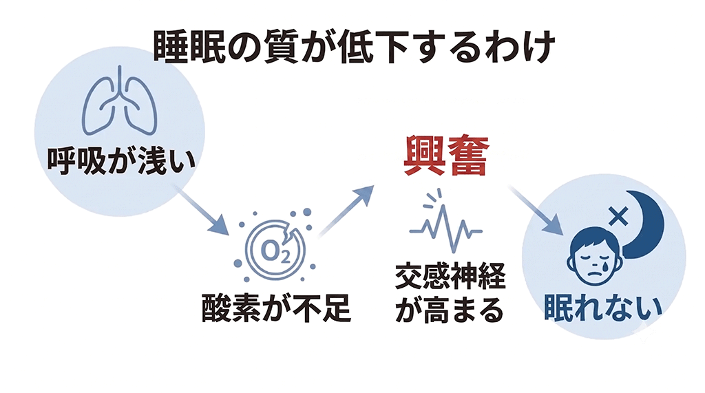 呼吸が浅い→酸素が不足→交感神経が高まる→眠れない