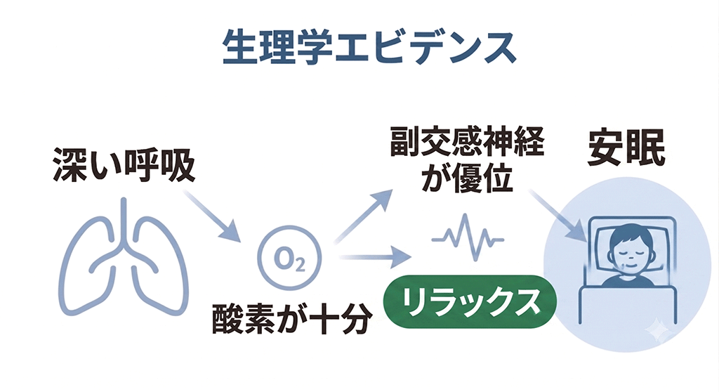 深い呼吸→酸素が十分→副交感神経が優位→安眠