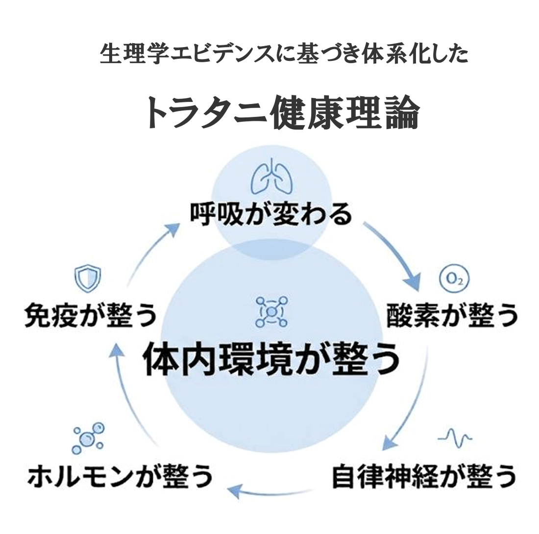 生理学エビデンスに基づき体系化したトラタニ健康理論：呼吸が変わる→酸素・自律神経・ホルモン・免疫が整う→体内環境が整う