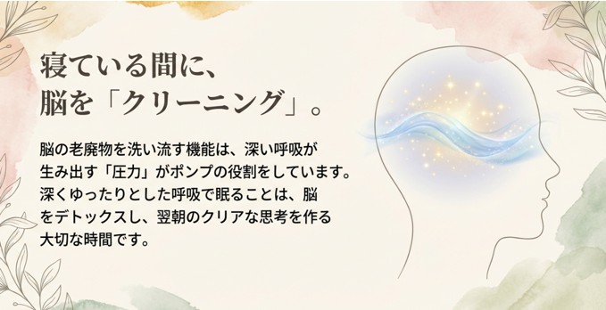 睡眠中の脳の洗浄システムの図